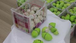 Polisi Sita Lemon Palsu Berisi Narkoba Senilai Rp224 Miliar, 4 Tersangka Dibekuk