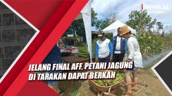 Jelang Final Piala AFF, Petani Jagung di Tarakan Dapat Berkah