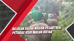 Belasan Gajah Masuk Pesantren di Kampar, Petugas BBKSDA Riau Usir Masuk Hutan