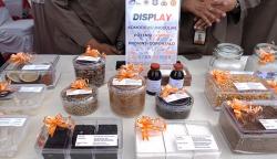 Ekspor Komoditas Pertanian Gorontalo ke Amerika hingga Eropa