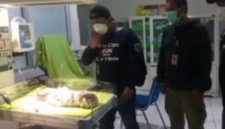 Heboh Bayi Baru Lahir Ditemukan di Semak-Semak, Diduga Dibuang Orang tuanya