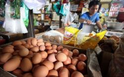 Tahun Baru, Warga Palembang Disambut Lonjakan Harga Telur<