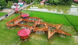 Foto dari Udara Objek Wisata Sawah Desa Pauh Timur Pariaman