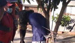 Diduga Hendak Congkel Kotak Amal, Pemuda di Bogor Nyaris Diamuk Massa