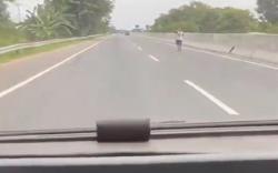 Mobil Pengangkut Ikan Dilempari Batu di Jalan Tol Belawan<