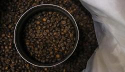 Kementan Bersinergi Dorong Kopi Indonesia Ungguli Kopi Dunia