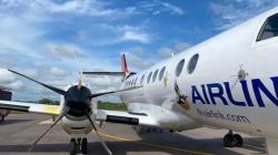 Mengerikan, Baling-Baling Pesawat Patah akibat Tabrakan dengan Burung