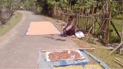 Brigadir Miswandi, Polisi yang Viral Jaga Gabah Warga Demi Vaksinasi Dapat Penghargaan<