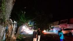 Pohon Besar di Jalan Raya Cianjur-Cipanas Tumbang Diserempet Truk, Lalu Lintas Macet<
