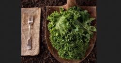 Sehabis Makan Daging Wajib Menyantap Sayuran Ini untuk Atasi Kolesterol