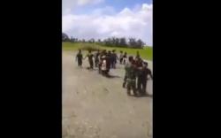 Video Viral TNI Ribut dengan Petani di Area Persawahan