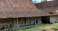 Fakta Kehidupan Suku Samin yang Tinggal di Pedalaman Blora