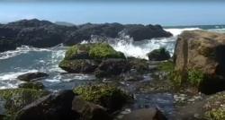 Lebaran, Dua Objek Wisata di Jember Bebas Biaya<