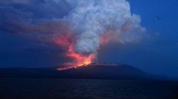 Gunung Tertinggi di Kepulauan Galapagos Erupsi, Muntahkan Lava dan Awan Panas 