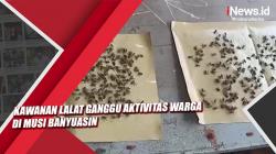 Video Kawanan Lalat Ganggu Aktivitas Warga di Musi Banyuasin<
