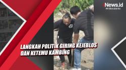 Video Langkah Politik Giring Kejeblos dan Ketemu Kambing