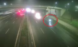 Mengemudi Sambil Lihat Google Maps, Pemotor Ini Malah Masuk Tol Serpong dan Kena Tilang<