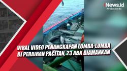 Viral Video Penangkapan Lumba-lumba di Perairan Pacitan, 23 ABK Diamankan