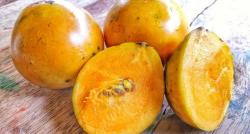 5 Buah Langka di Indonesia yang Terkenal Enak dan Berkhasiat untuk Obat