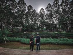 Cek Revitalisasi Taman Tebet, Anies Pamerkan 8 Spot Menarik