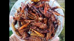 10 Makanan Khas Gunungkidul yang Wajib Dicoba
