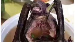 6 Makanan Tradisional Indonesia yang Ekstrem, Ada Biawak hingga Kelelawar