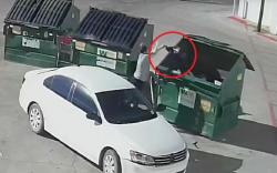 Sadis, Ibu Muda Terekam CCTV Buang Bayi ke Tempat Sampah Dibungkus Plastik Hitam