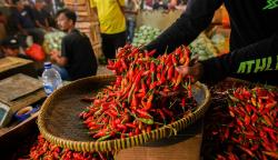 Harga Cabai di Pasar Induk Kramat Jati Turun Menjadi Rp40.000 per Kilogram