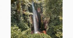 Kisah Misterius yang Tersembunyi di Curug Nangka, Aneh Ada Pohon Mendadak Hilang
