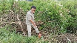 Terbit Sertifikat Pribadi Atas Lapangan Bola Selabintana, Kades Ngadu ke Presiden Jokowi