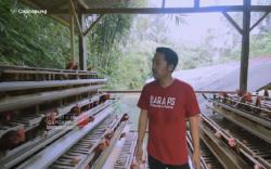 Resign dari Kantor, Pria Ini Sukses jadi Juragan Ayam Petelur hingga Bantu Peternak