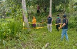 2 Warga Kulonprogo Tewas Terjatuh dari Pohon Kelapa