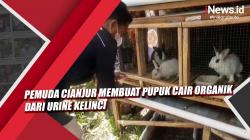 Video Pemuda Cianjur Membuat Pupuk Cair Organik dari Urine Kelinci