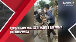 Video Pengendara Motor di Maros Tertimpa Batang Pohon