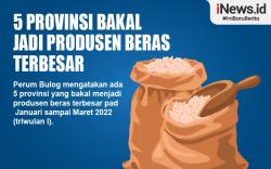 Infografis 5 Provinsi Bakal Jadi Produsen Beras Terbesar