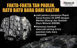  Infografis Fakta-Fakta Tan Paulin, Ratu Batu Bara dari Kaltim   