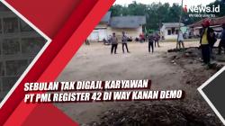 Video Sebulan Tak Digaji, Karyawan PT PML Register 42 di Way Kanan Demo