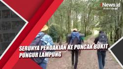 Serunya Pendakian ke Puncak Bukit Pungur Lampung