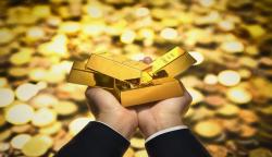 WNA China Keruk 774 Kg Emas dari Tambang Ilegal di Kalbar, Negara Rugi Rp1 Triliun Lebih<