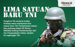 Infografis Daftar 5 Satuan Baru TNI