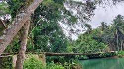 Jembatan Batukaras Pangandaran yang Digagas Ayah Pangdam Siliwangi Segera Direnovasi<
