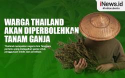 Warga Thailand Akan Diperbolehkan Tanam Ganja di Rumah, Kok Bisa?