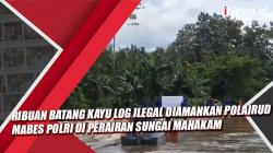 Video Ribuan Batang Kayu Log Ilegal Diamankan Polairud Mabes Polri di Perairan Sungai Mahakam
