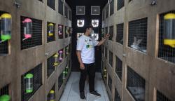  Usaha Ternak yang Cepat Panen dan Untung Berkali Lipat 