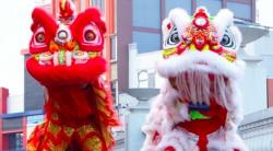 Ini Perbedaan Barongsai dan Liong, Dewa Keberuntungan untuk Masyarakat Tionghoa