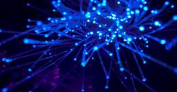 554 Ribu Nama Domain Terdaftar Sepanjang 2021, Naik 17 Persen Dibanding 2020