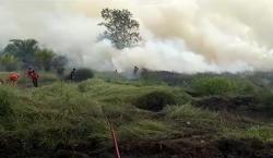 Lahan Gambut Warga Kotawaringin Barat Terbakar, Petugas Kesulitan Padamkan Api