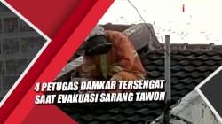4 Petugas Damkar Tersengat saat Evakuasi Sarang Tawon di Probolinggo