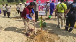 Lahan Bekas Tambang di Muntok Ditanami 1000 Bibit Pohon Jambu Mete dan Kayu Putih