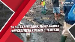 Video 1,5 Bulan Pencarian, Mayat Korban Erupsi Semeru Kembali Ditemukan